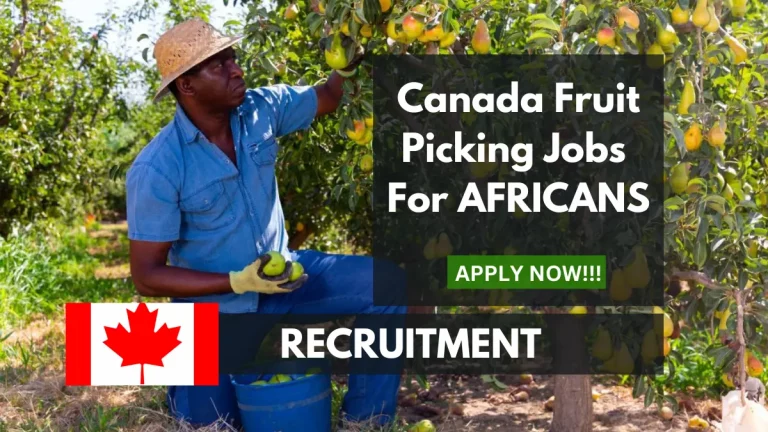Canada Fruit Picking Jobs (June 2024) for Africans, Open Jobs, Online Application