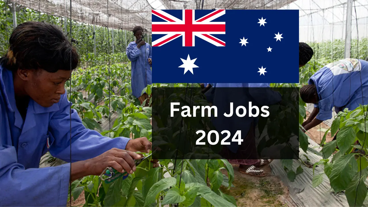Ongoing Farm Jobs in Australia): Open Jobs and Online Application