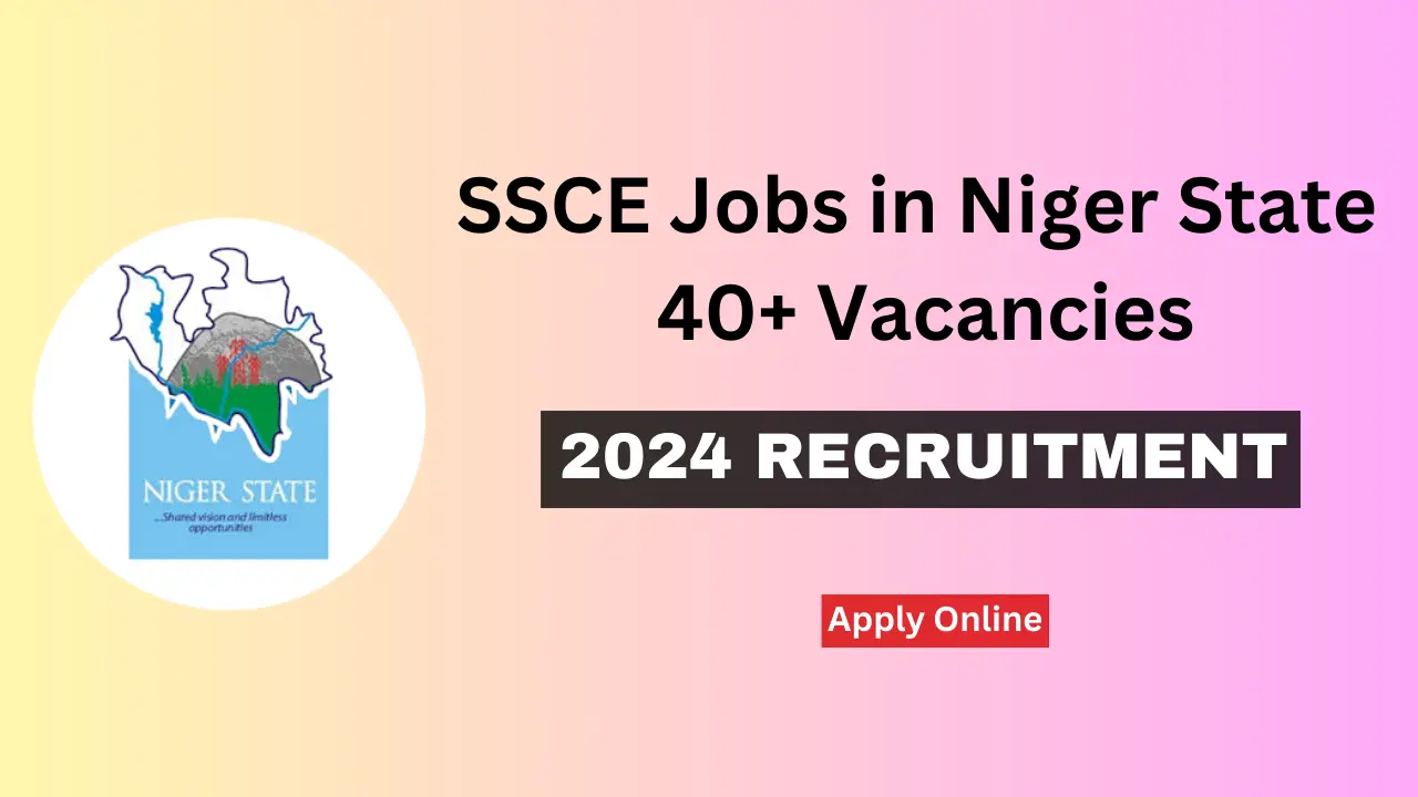 SSCE Jobs in Niger 40+ Open Vacancies and How to Apply