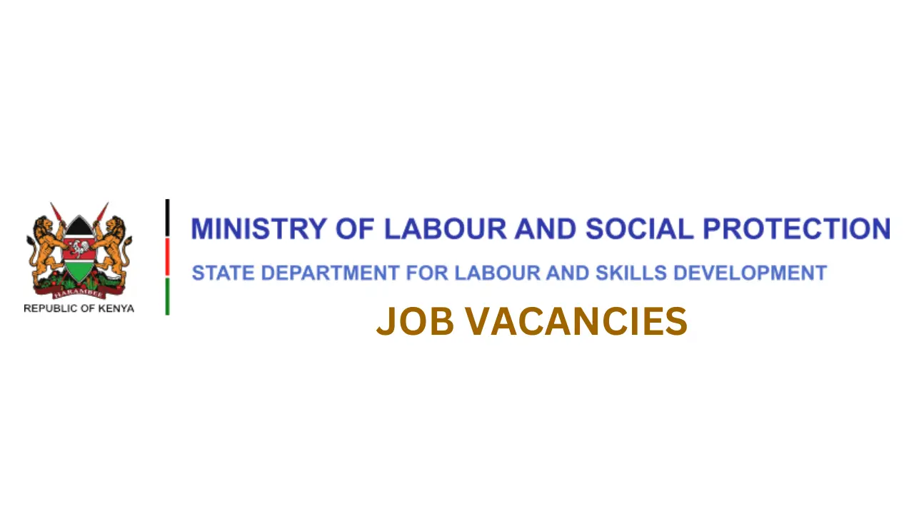 The Ministry of Labour Recruitment Job Application, Qualifications and Experience Required