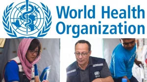 World Health Organization (WHO) Recruitment Online Job Application, Procedure on How to Apply
