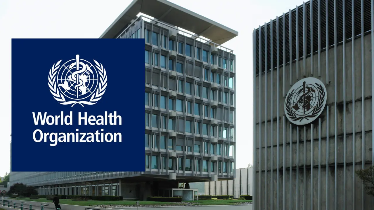 World Health Organization (WHO) Recruitment Online Job Application and How to Apply