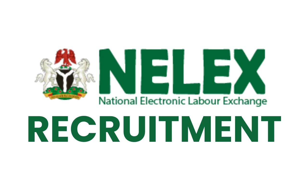 NELEX Portal Login - National Electronic Labour Exchange